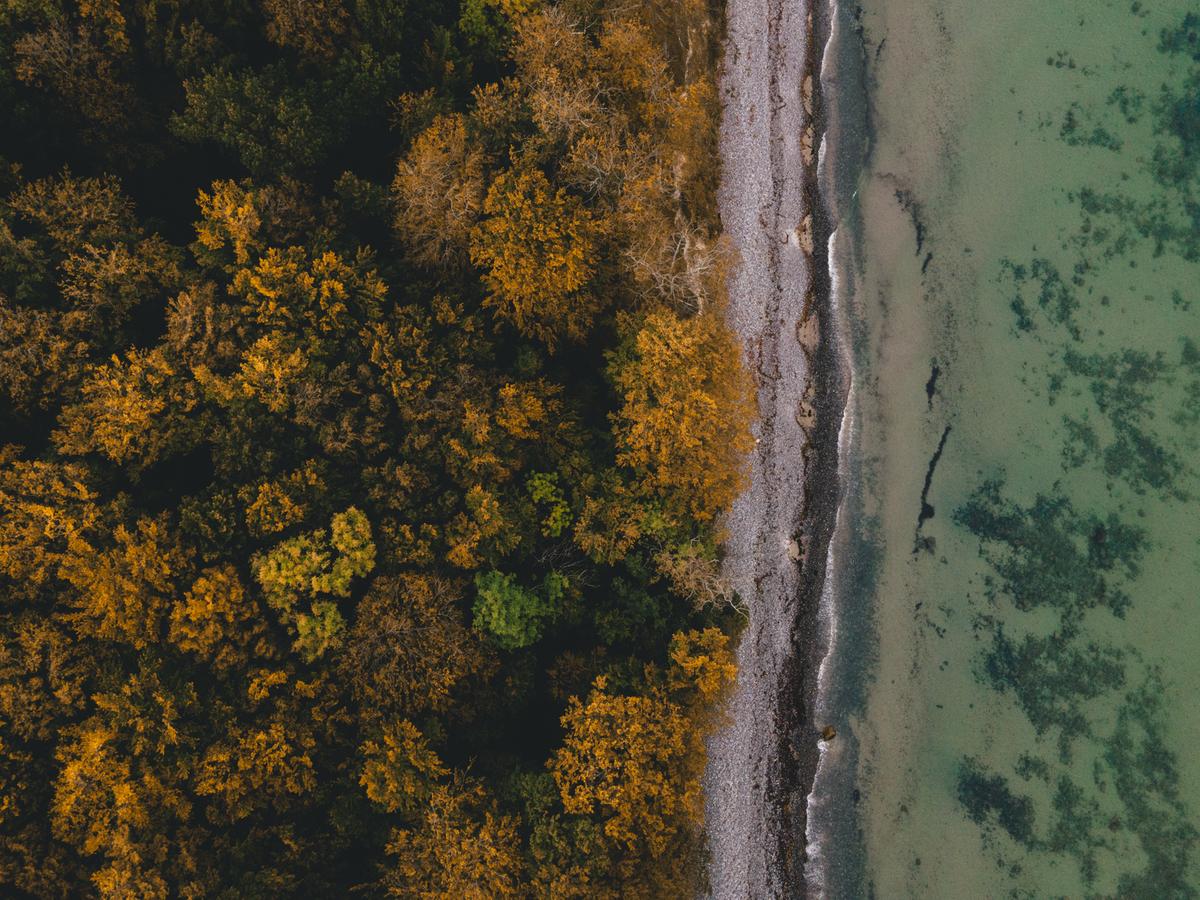 Luftfoto af efterårsskov strand og hav