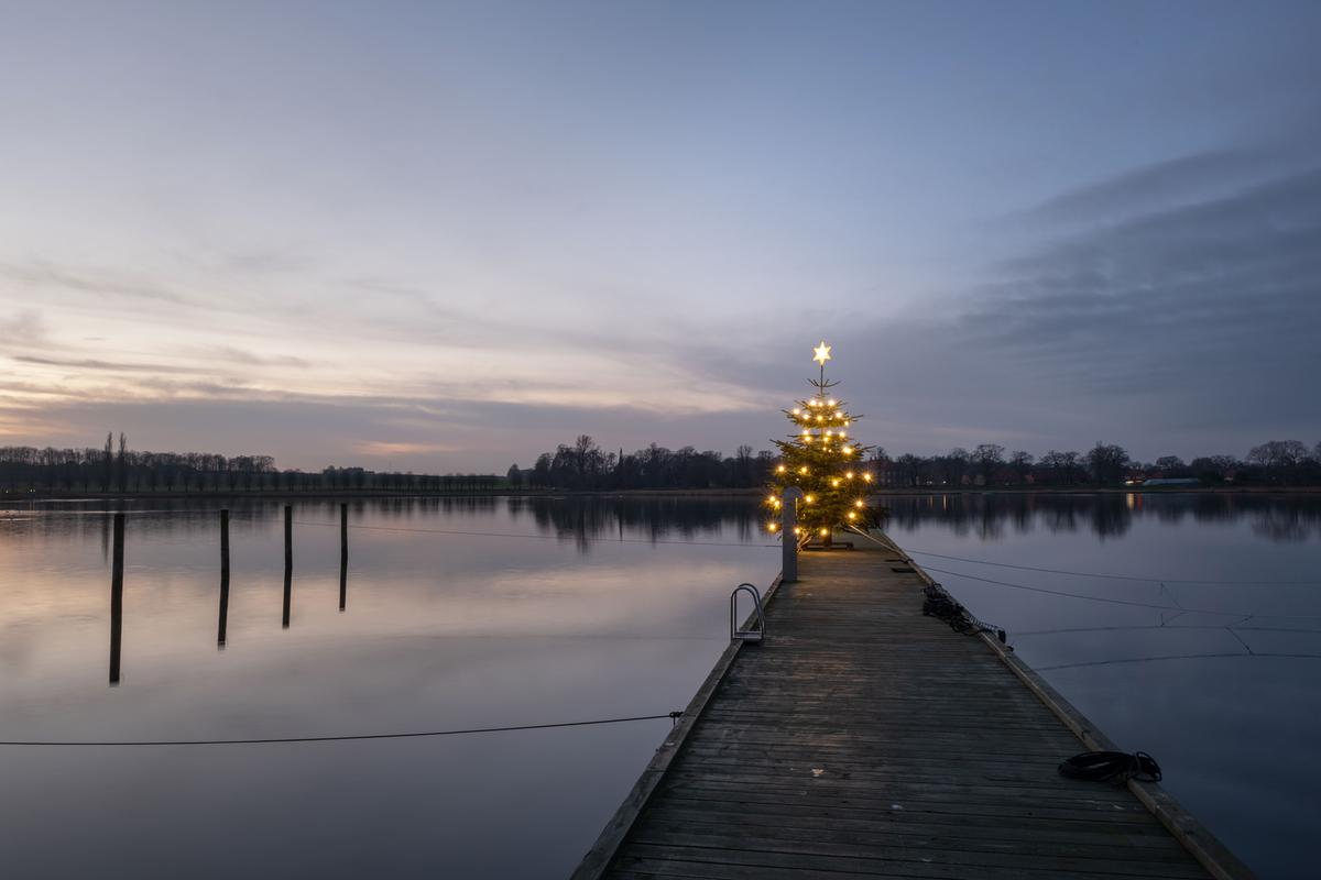 Juletræ med julelys i Præstø Havn